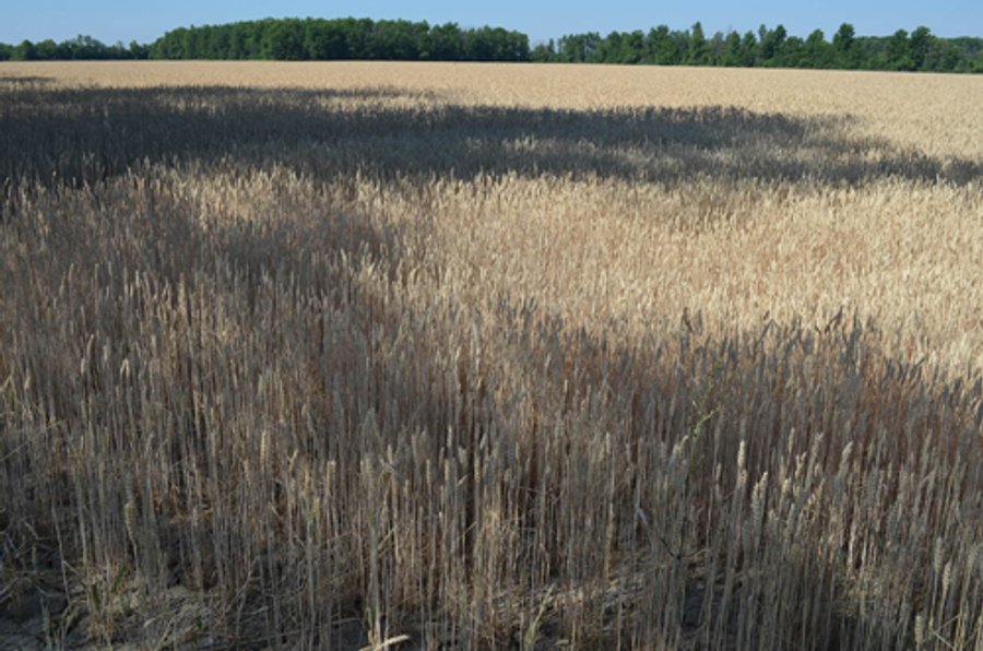 108 +/- Acres Offered in 2 Tracts - Land Auction